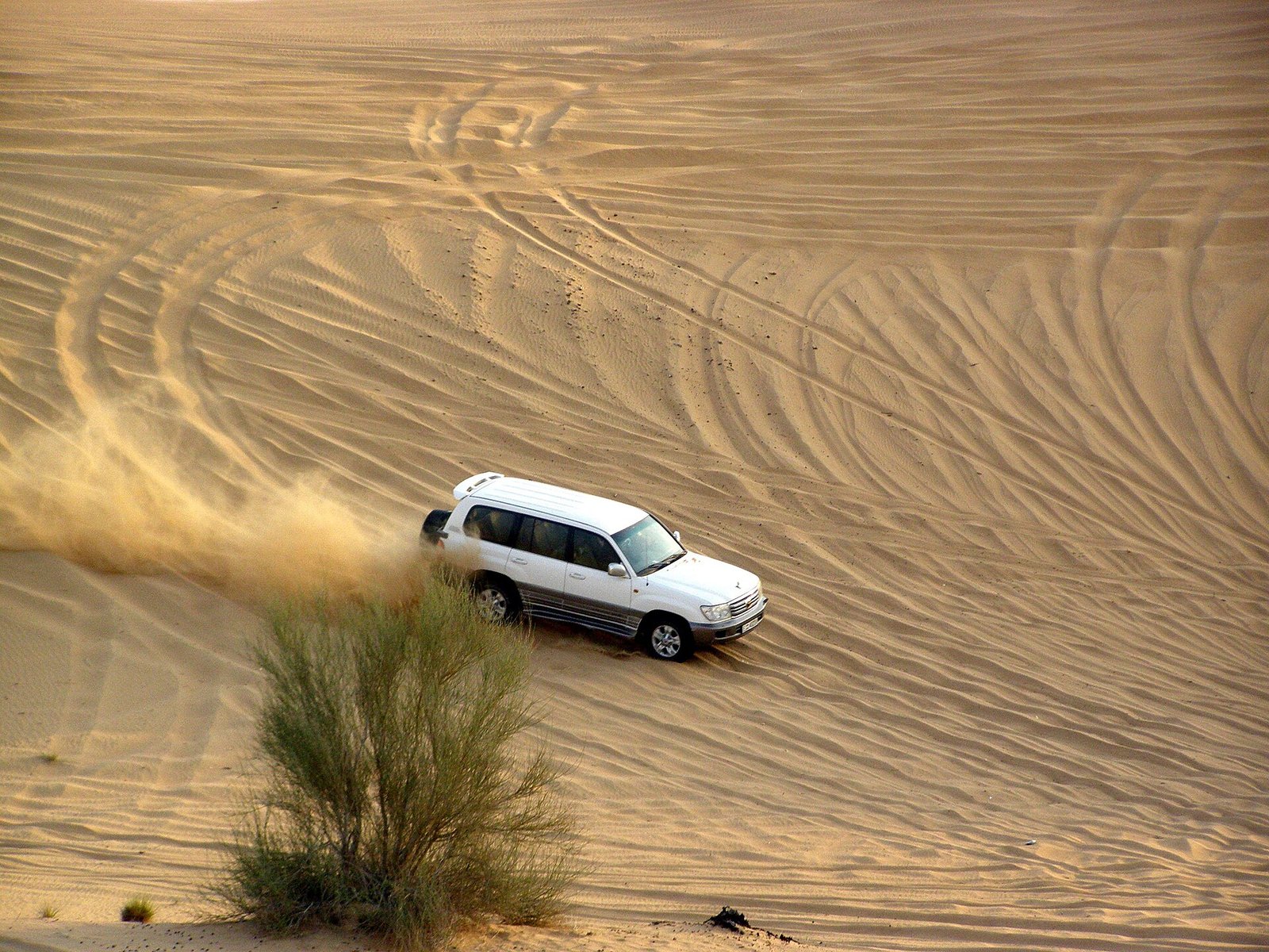 Dune Adventure Tours